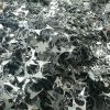 Cold Rolled Bushlings scrap