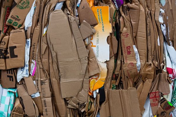 Old Corrugated Containers (OCC)
