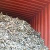 Shredded Steel Scrap