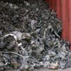 Shredded Steel Scrap