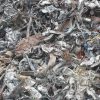 Shredded Steel Scrap