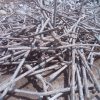 Steel Rebar Scrap
