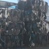 Mixed Rigid Plastic Scrap