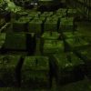 Ferro-Nickel Ingots
